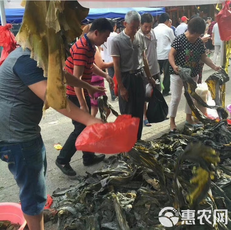 海带风情，小巷深处的神秘小店与传奇行情