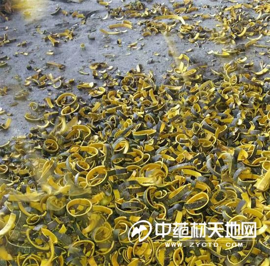 多维视角论述黄柏行情，市场走势、价值及其影响深度解析