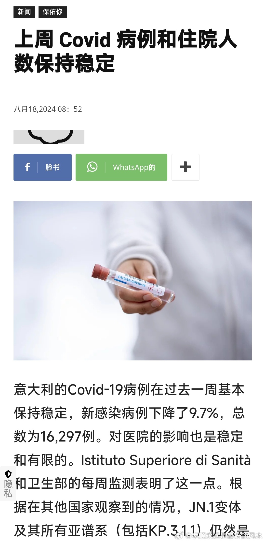 意大利最新肺，一段温馨的日常故事之旅