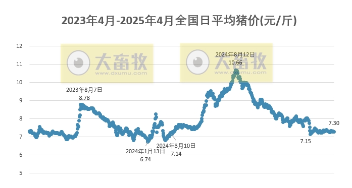 肘子最新行情及在当代的地位与影响力解析