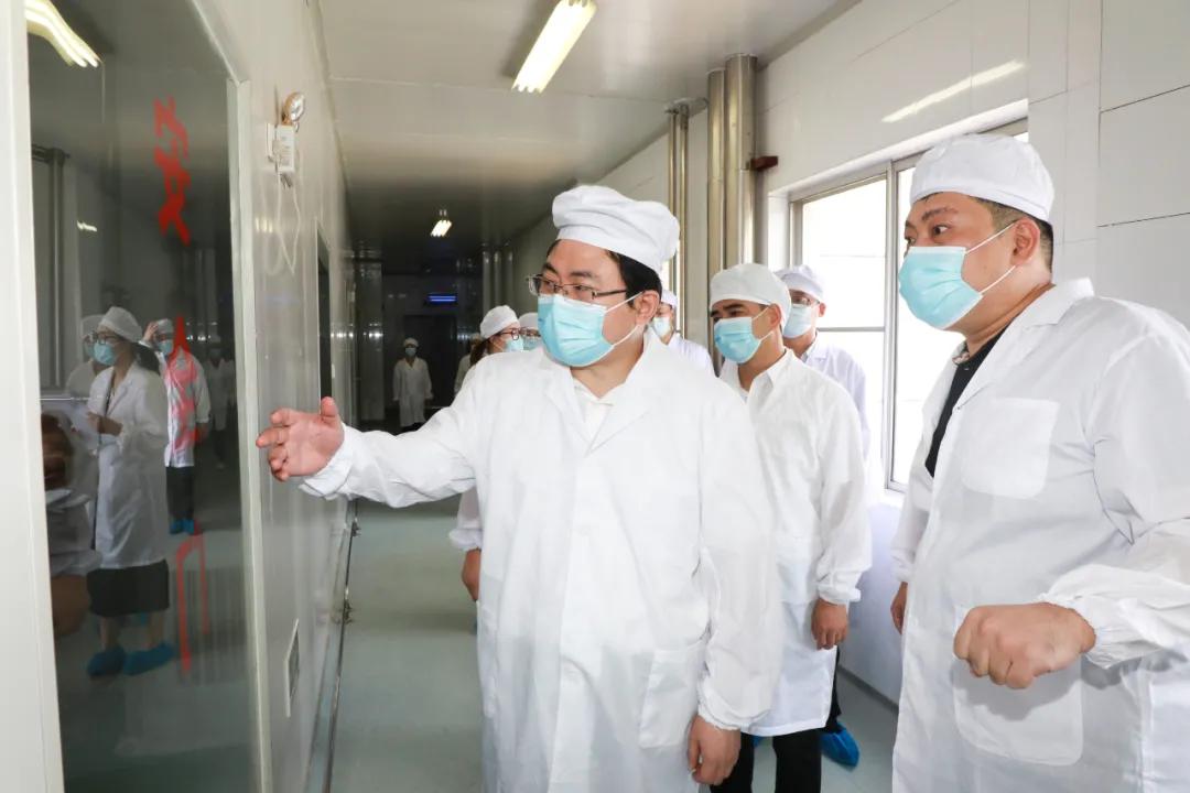 洛阳最新疫情与科技防护重塑纪元