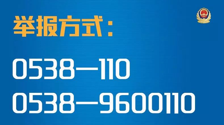 泰安最新报警事件深度解析，背景、进展与影响回顾