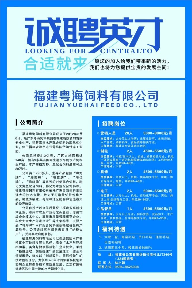 云霄最新招聘启事，启程探索自然美景的旅行之旅