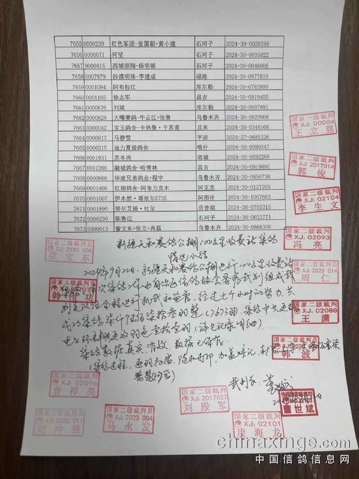 新疆赛鸽公棚最新公告揭秘，小巷特色小店与未知奇妙世界的探索！