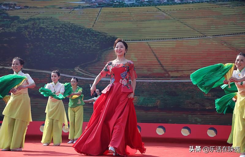 邰展最新任命揭晓，友谊纽带与温馨陪伴的展望 2025