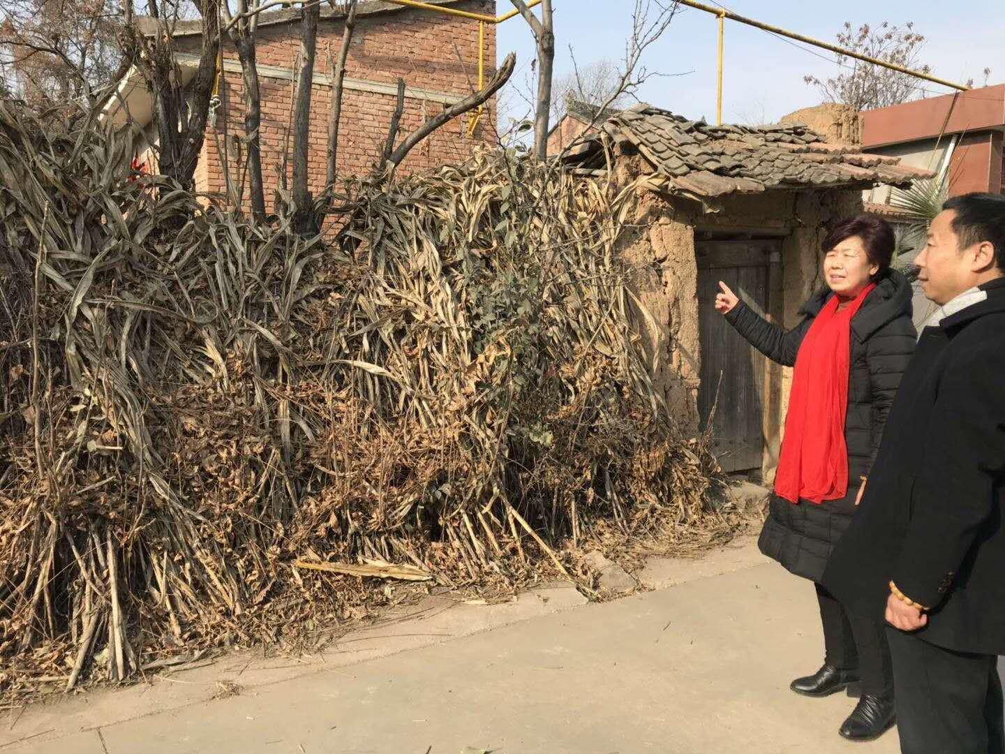 西安蓝田汤峪发展热议，最新新闻报道