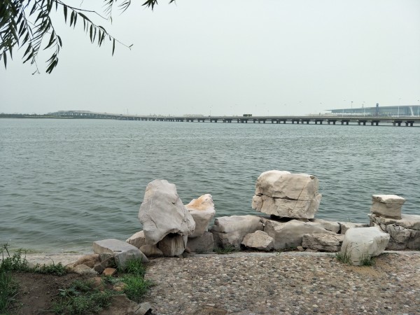 金海湖新区最新项目启航，学习成就梦想，共创未来征程