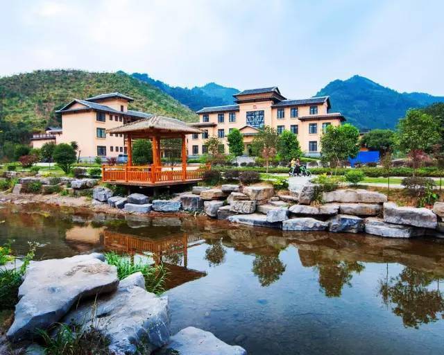 广西蒙山高速最新动态，驶向自然美景，探寻内心平静的旅程