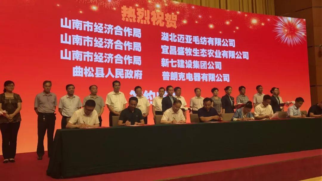杨云彦的最新动态与消息更新