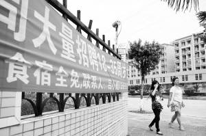 河源东源仙塘最新招聘，时代背景下的新机遇启航