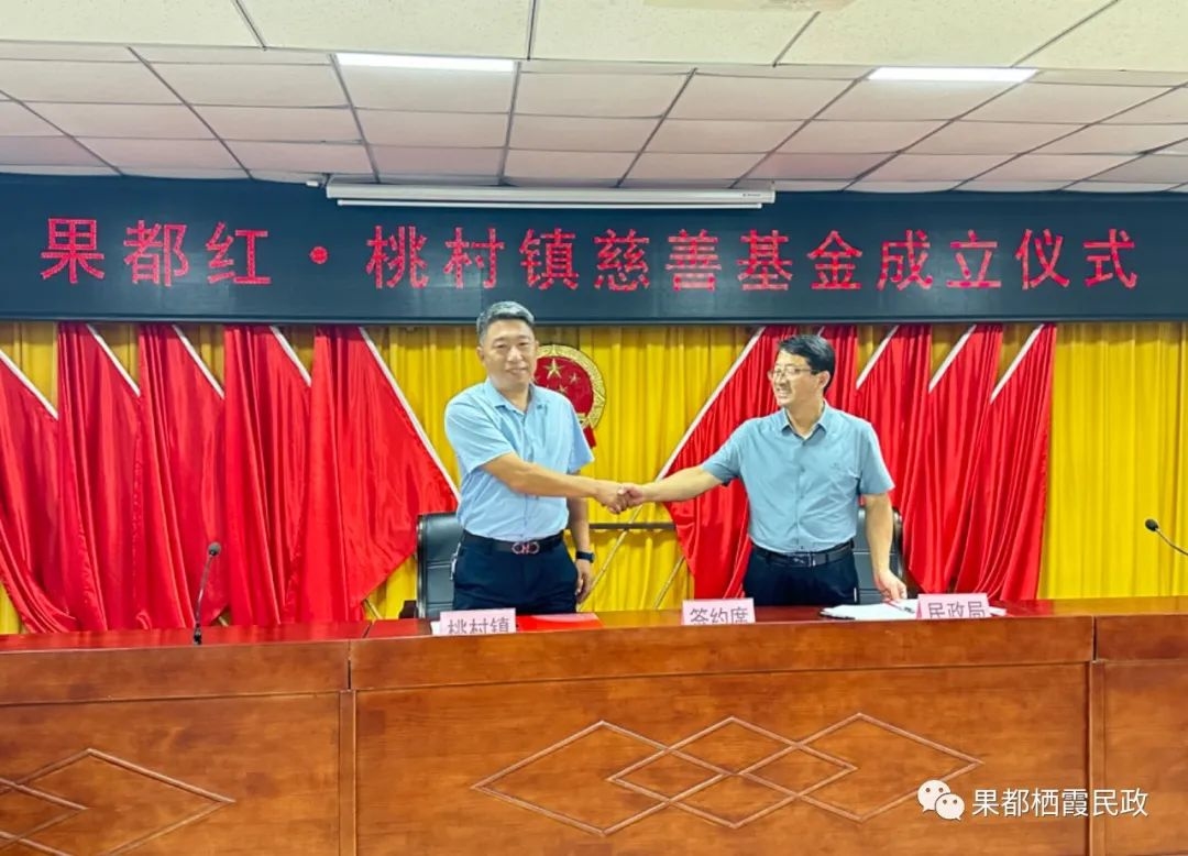 桃村最新动态，时代变迁下的乡村印记
